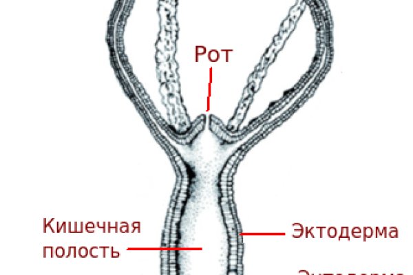 Кракен сайт 18at