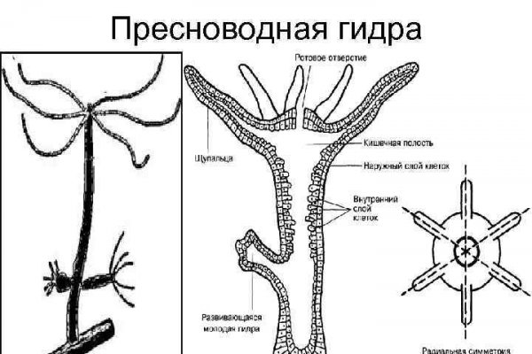 Ссылки даркнет